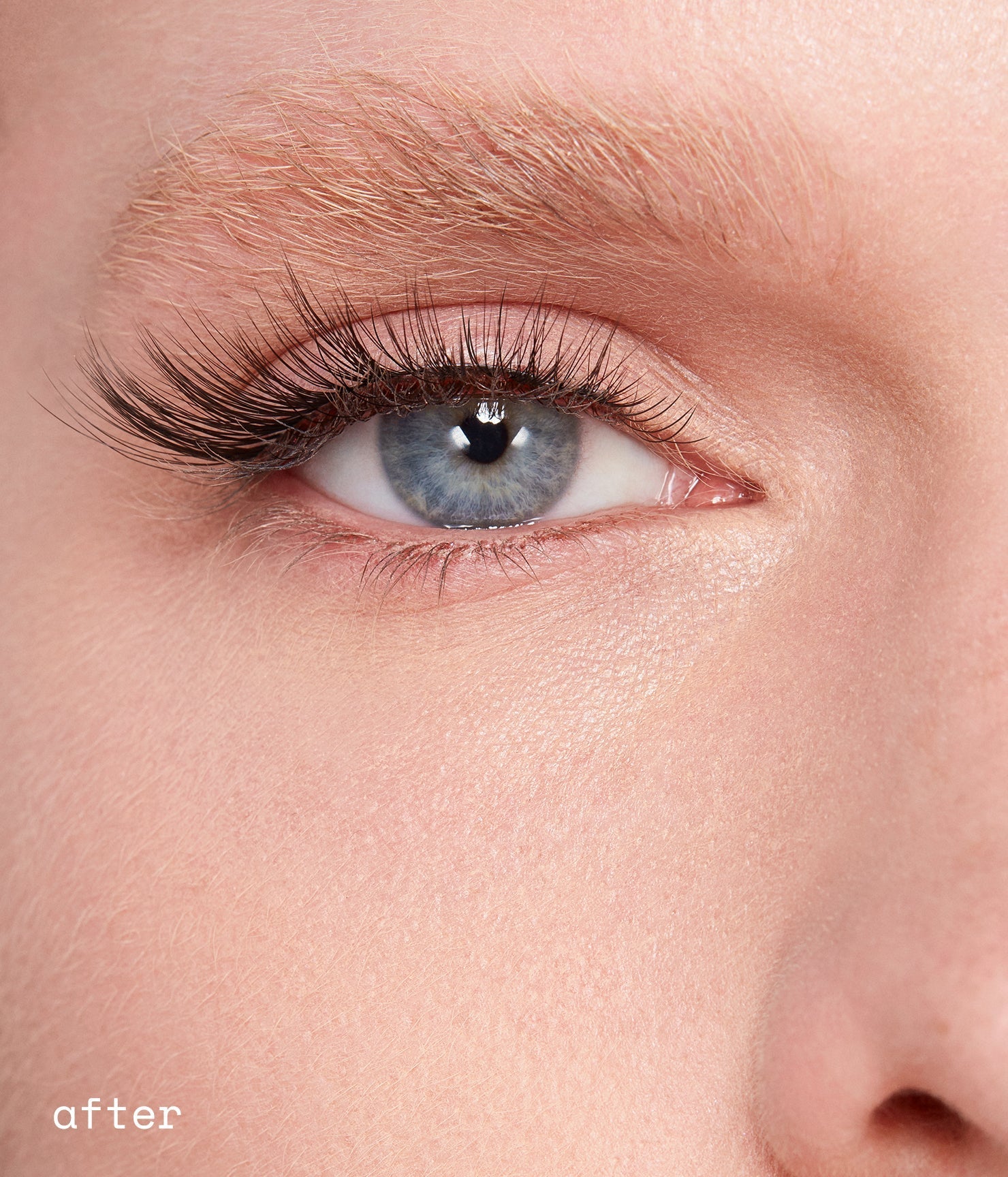 dream lashes - 图片 5