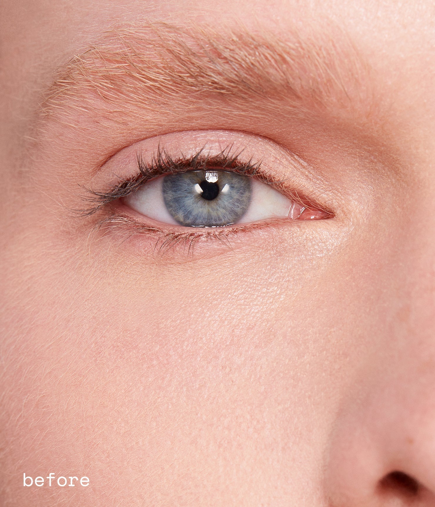 dream lashes - 图片 6